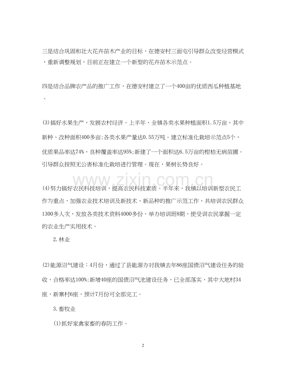 乡镇上半年总结及下半年工作计划.docx_第2页