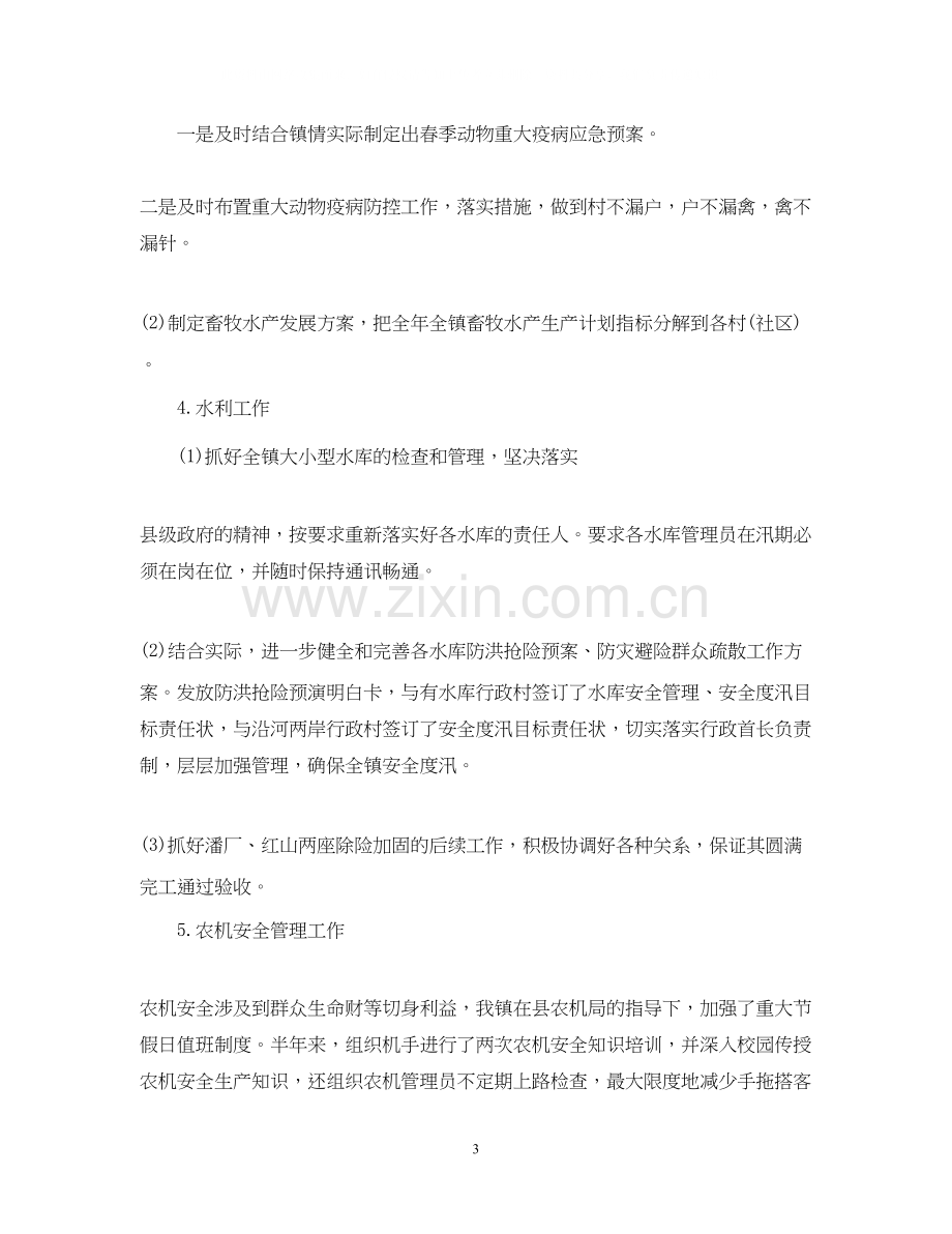 乡镇上半年总结及下半年工作计划.docx_第3页