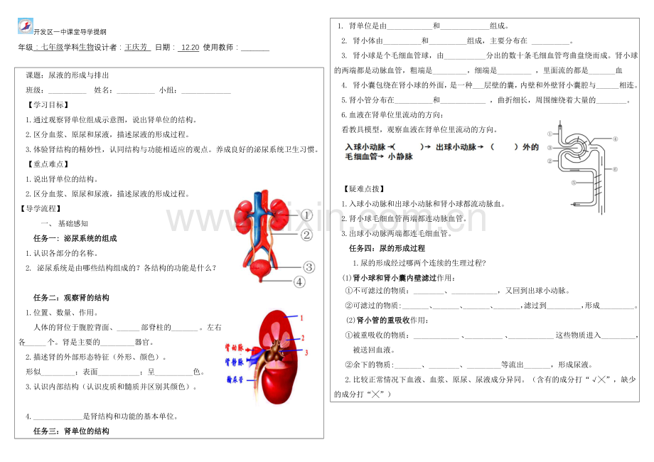 第一节-尿液的形成和排出.docx_第1页