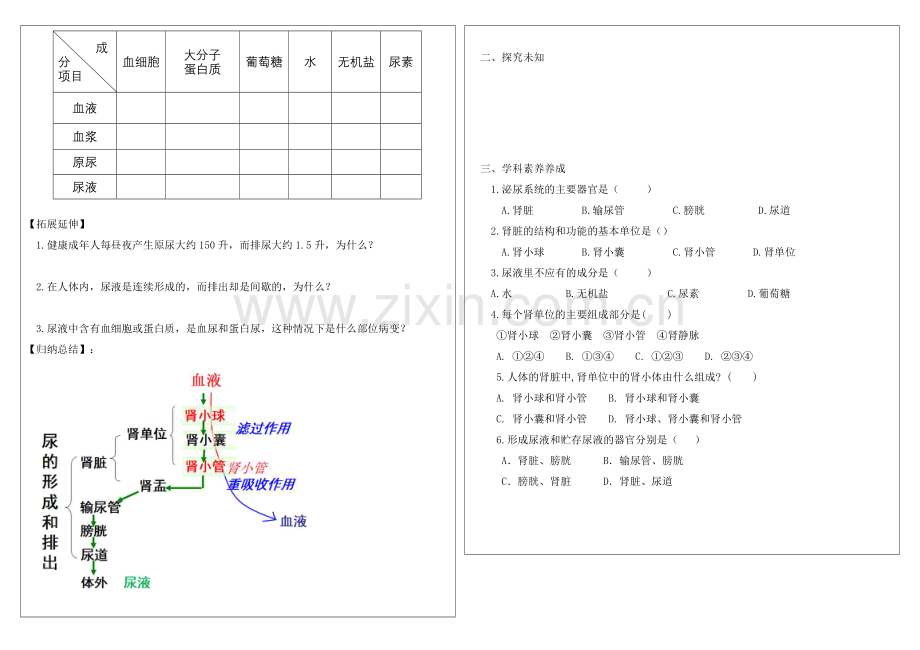 第一节-尿液的形成和排出.docx_第2页