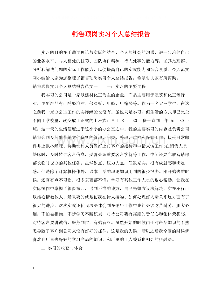 销售顶岗实习个人总结报告.docx_第1页