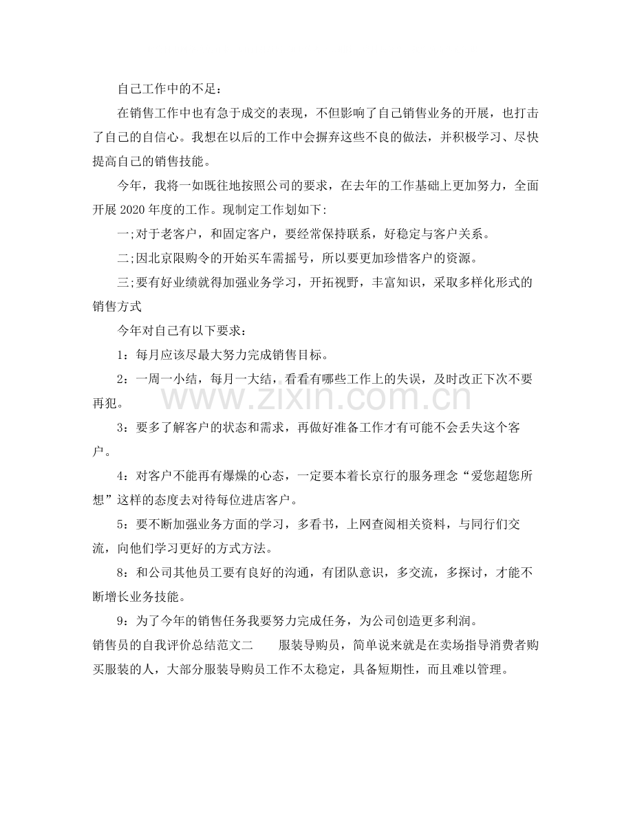 销售员的自我评价总结.docx_第2页