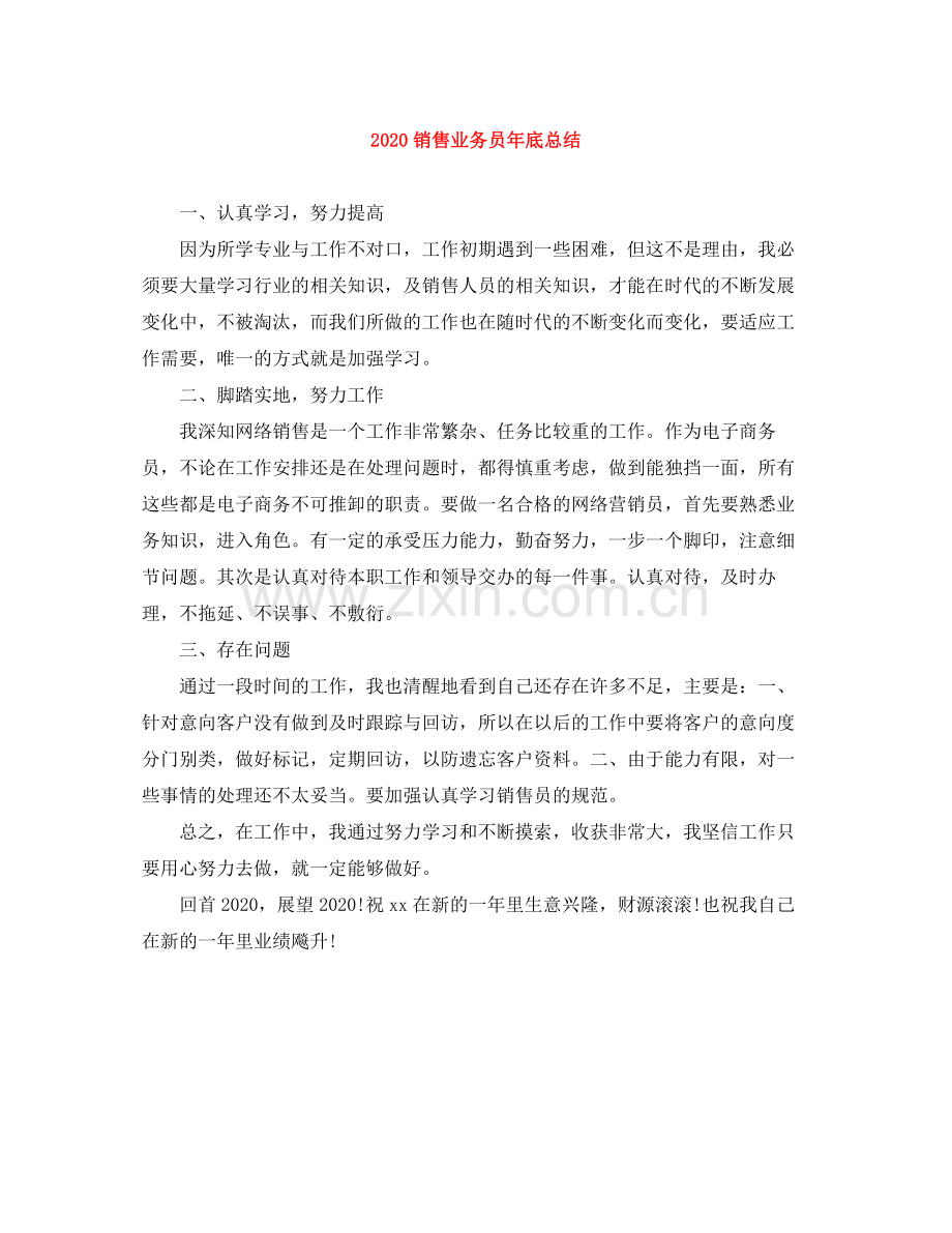 销售业务员年底总结.docx_第1页