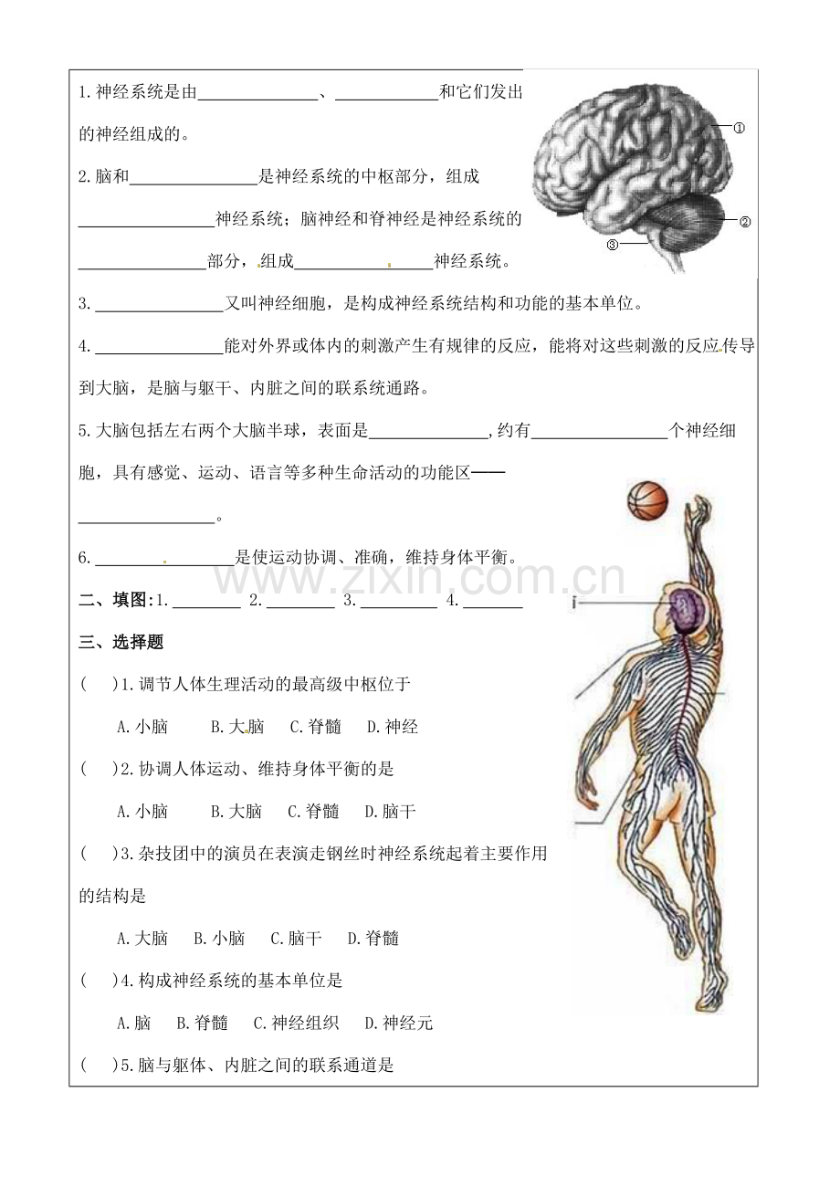 七年级生物下册 第6章第2节神经系统的组成教案 人教新课标版.doc_第3页