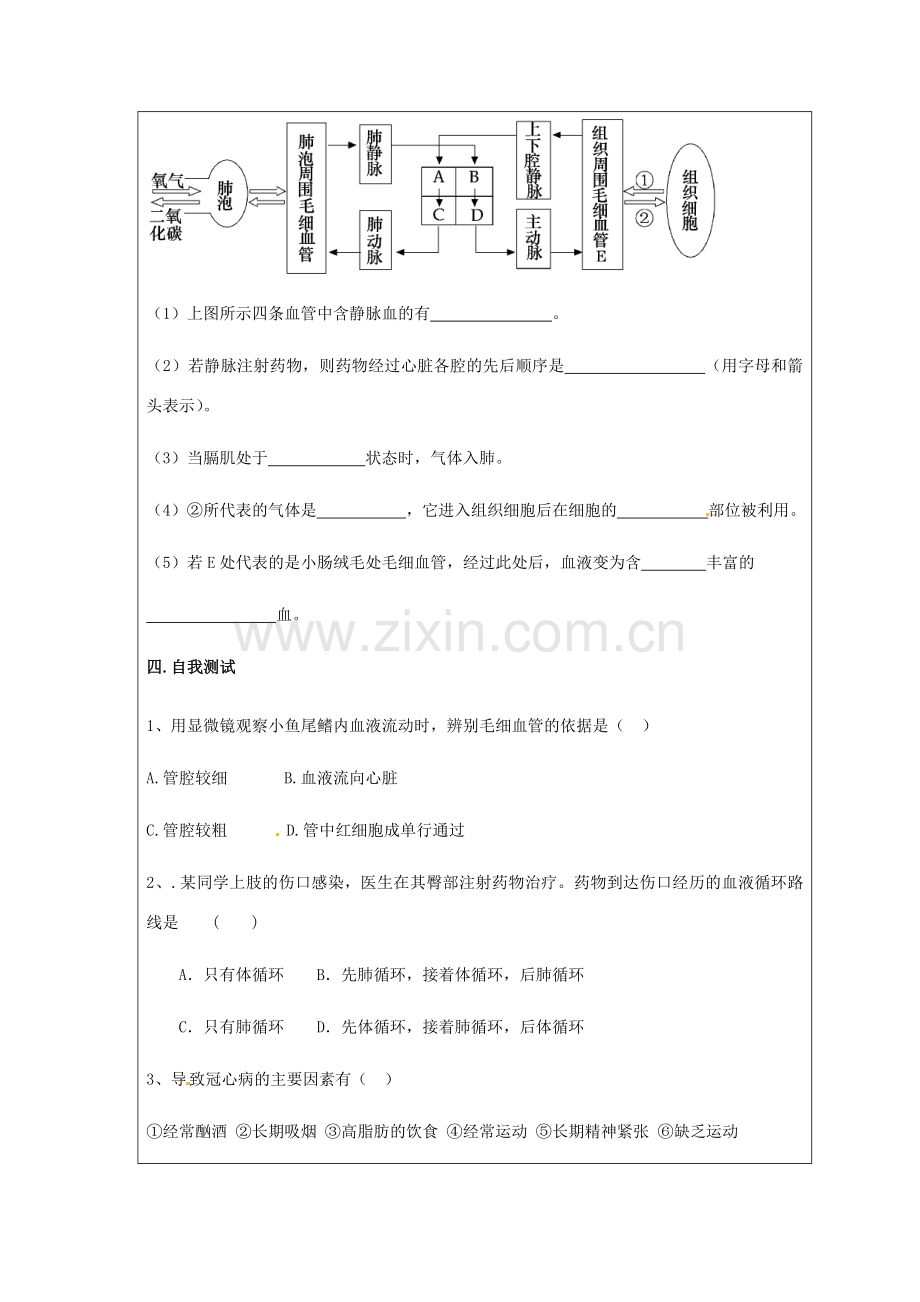 七年级生物下册 第三单元第四章第一节人体内废物的排出复习教案 济南版.doc_第3页