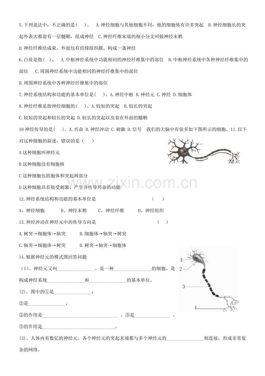 七年级生物下册 3.5.2 神经调节的结构基础导学案（无答案）（新版）济南版.doc_第2页