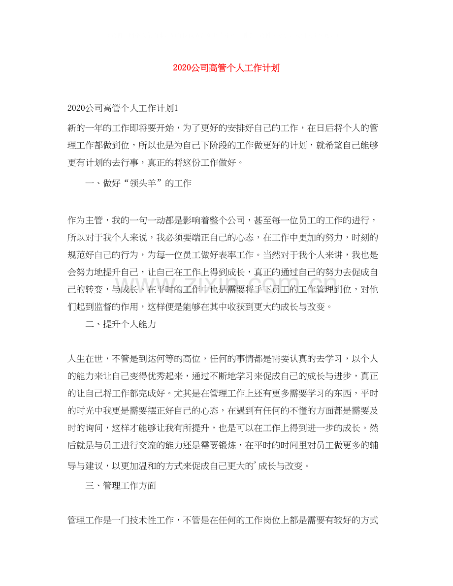 公司高管个人工作计划.docx_第1页