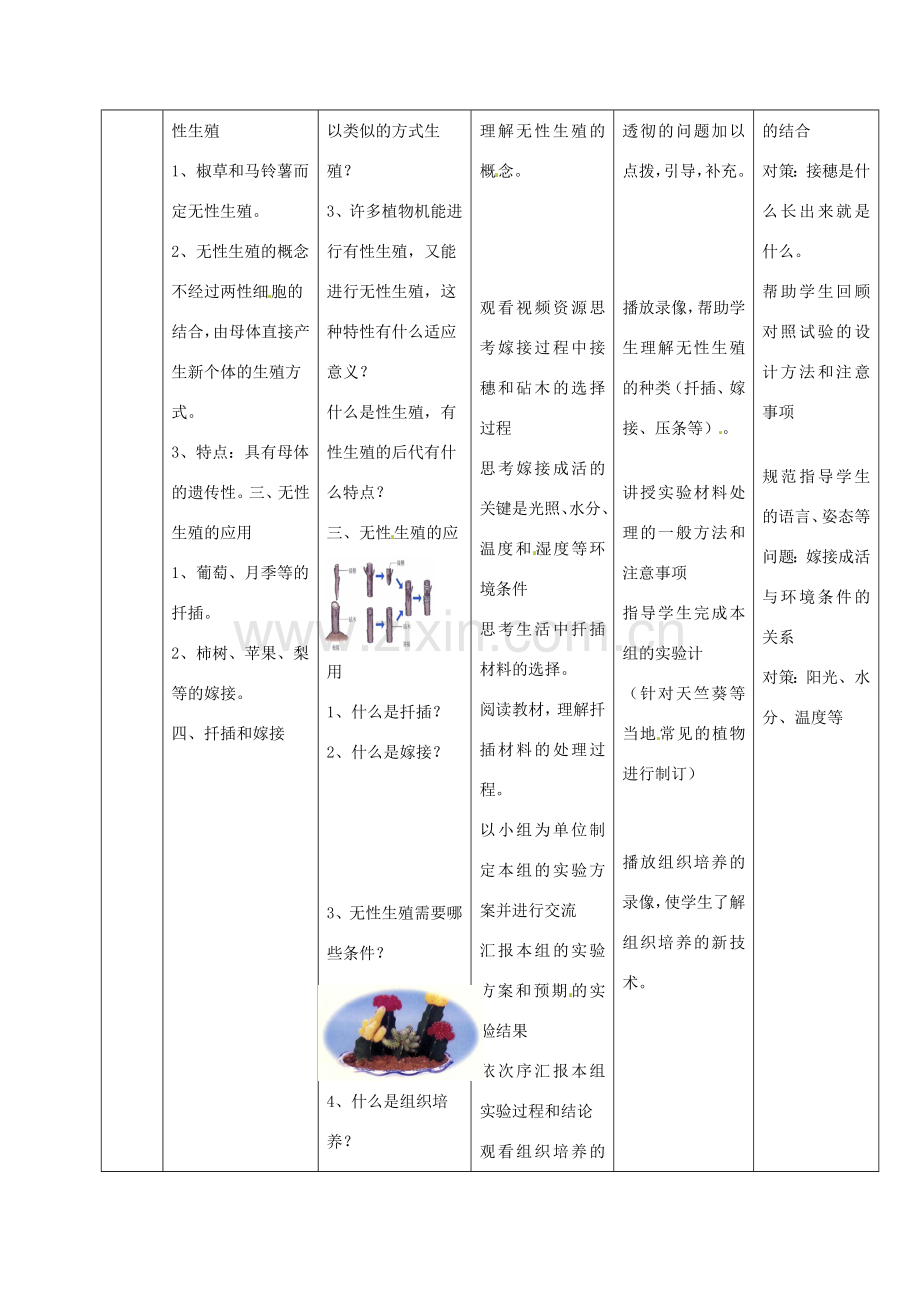 吉林省通化市八年级生物下册 7.1.1植物的生殖教案 （新版）新人教版-（新版）新人教版初中八年级下册生物教案.doc_第2页