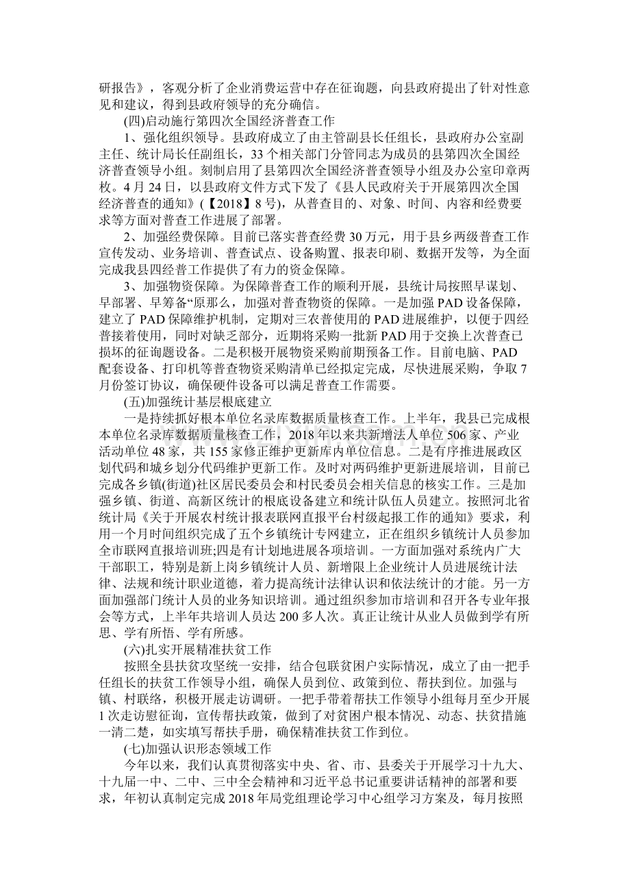 统计局年上半年工作总结及下半年工作安排.docx_第2页