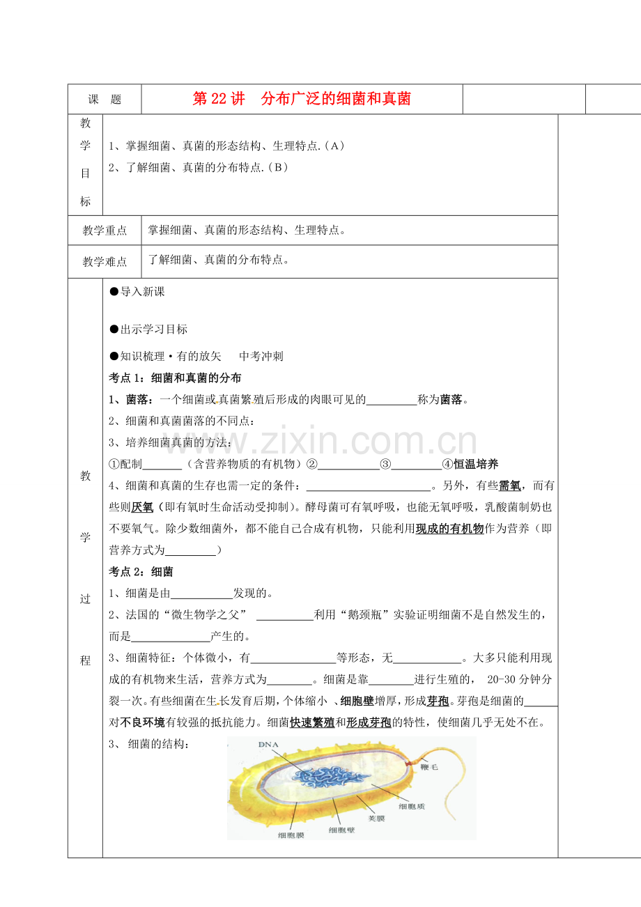 湖南省茶陵县世纪星实验学校八年级生物复习《第22讲 分布广泛的真菌和细菌》教案 人教新课标版.doc_第1页