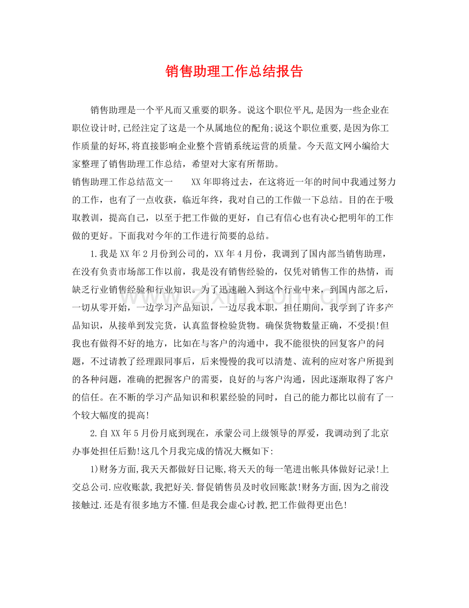 销售助理工作总结报告 .docx_第1页