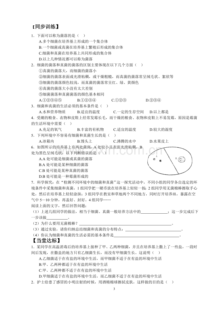 第五单元第四章第一节细菌及真菌分布(第二课时).doc_第3页