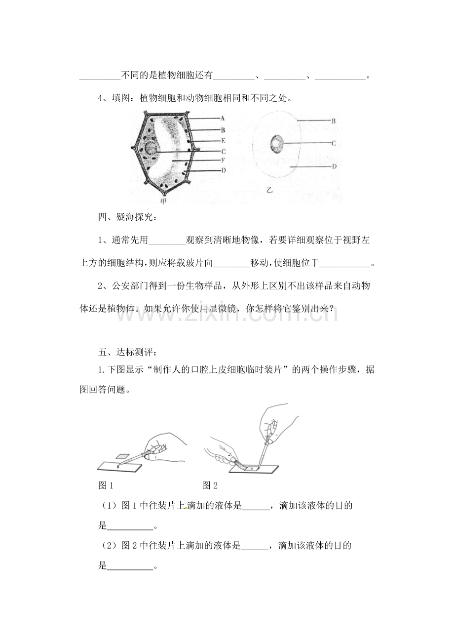 安徽省合肥市长丰县七年级生物上册 2.1.3 动物细胞教案2 （新版）新人教版-（新版）新人教版初中七年级上册生物教案.doc_第3页