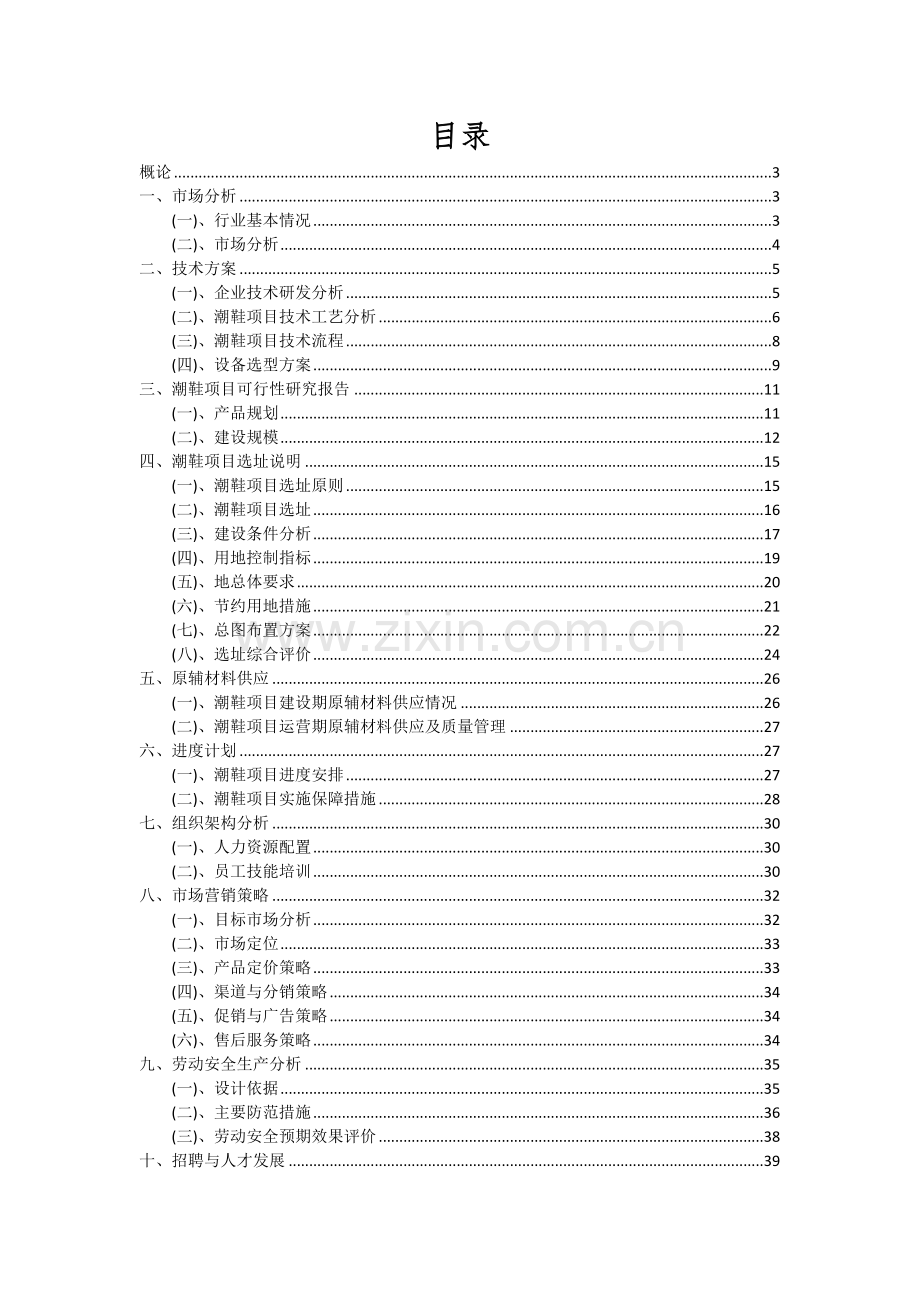 潮鞋项目可行性分析报告.docx_第2页