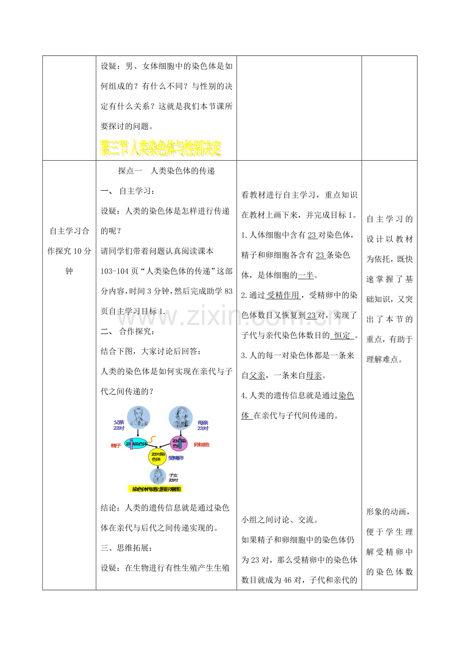 八年级生物上册 4.4.3《人类染色体与性别决定》教案2 （新版）济南版-（新版）济南版初中八年级上册生物教案.doc_第3页