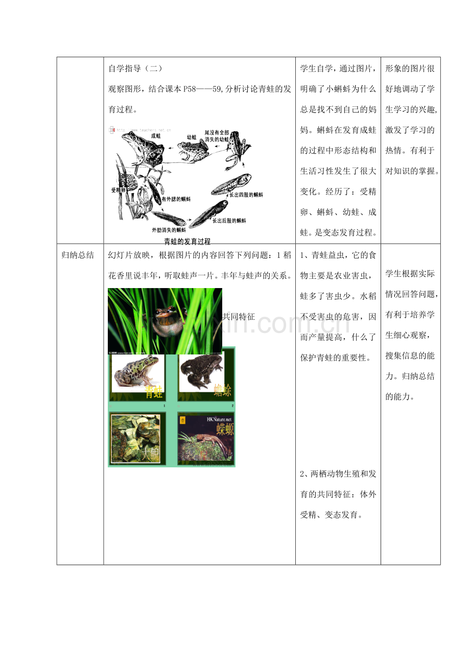 八年级生物上册 4.2.2《两栖动物的生殖和发育》教案1（新版）济南版-（新版）济南版初中八年级上册生物教案.doc_第3页