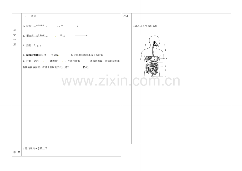 辽宁省抚顺市第二十六中学七年级生物下册《第9章 第二节 人体的消化与吸收》教学案2 新人教版.doc_第2页