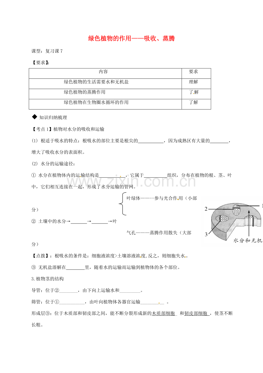 广东省河源市七年级生物上册 3.3绿色植物的作用——吸收、蒸腾教案 （新版）新人教版-（新版）新人教版初中七年级上册生物教案.doc_第1页