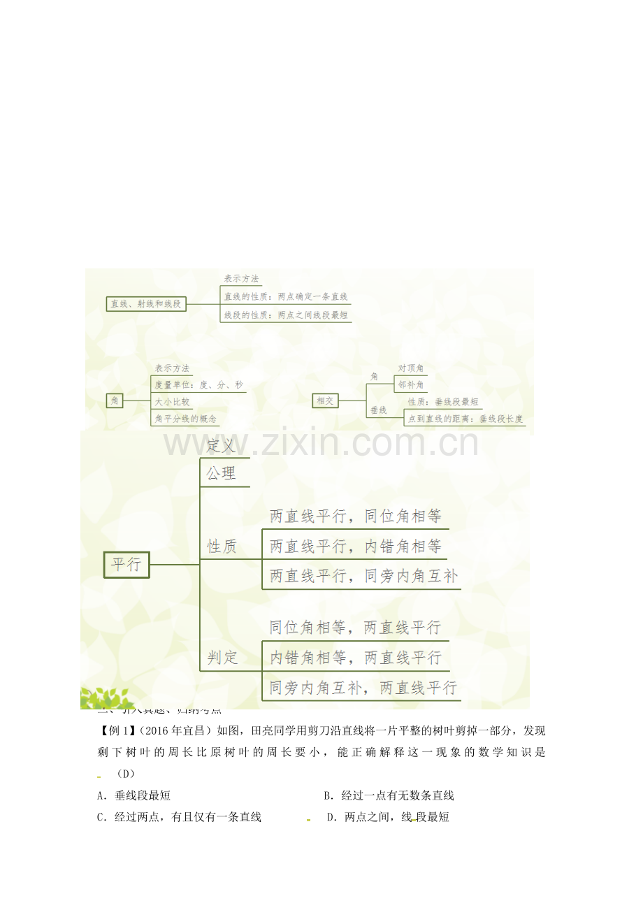 安徽省中考数学复习 第5单元 三角形 第19课时 几何初步及相交线、平行线教案-人教版初中九年级全册数学教案.doc_第2页