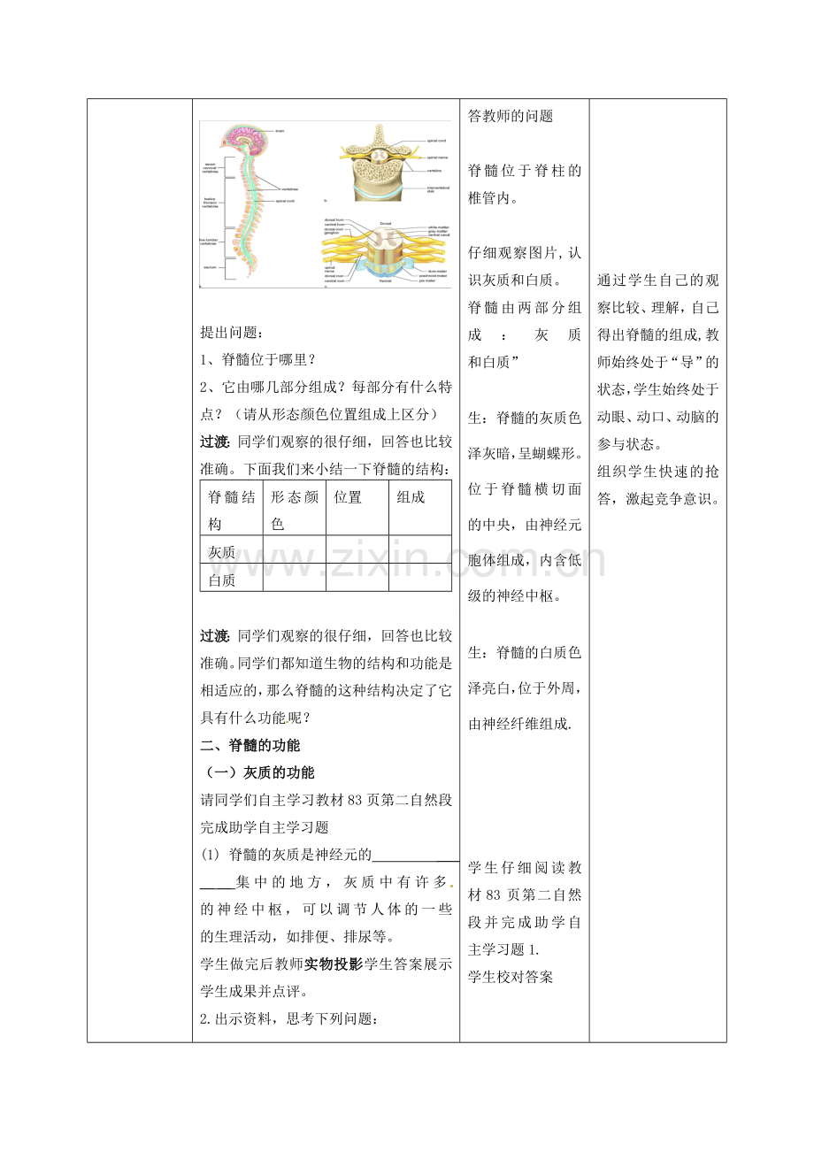 七年级生物下册 3.5.2 神经调节的结构基础教案（2）（新版）济南版-（新版）济南版初中七年级下册生物教案.doc_第3页