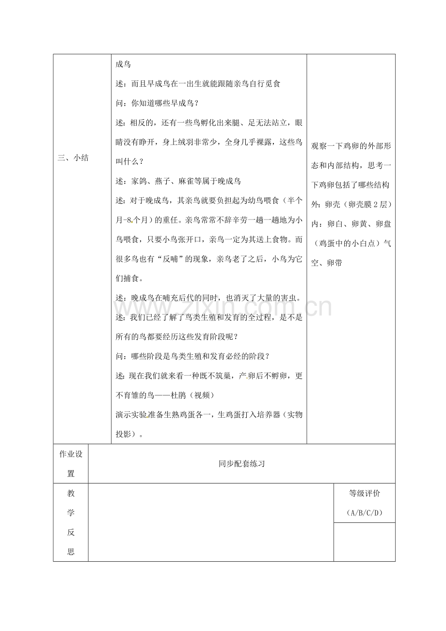 八年级生物下册 21.5 鸟类的生殖与发育教案 （新版）苏教版-（新版）苏教版初中八年级下册生物教案.doc_第3页