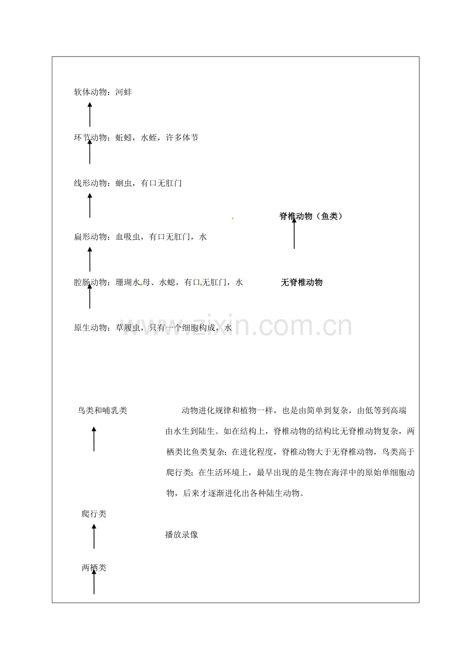 江苏省太仓市第二中学八年级生物下册 22.2 生物进化的历程教案3 苏科版.DOC_第3页