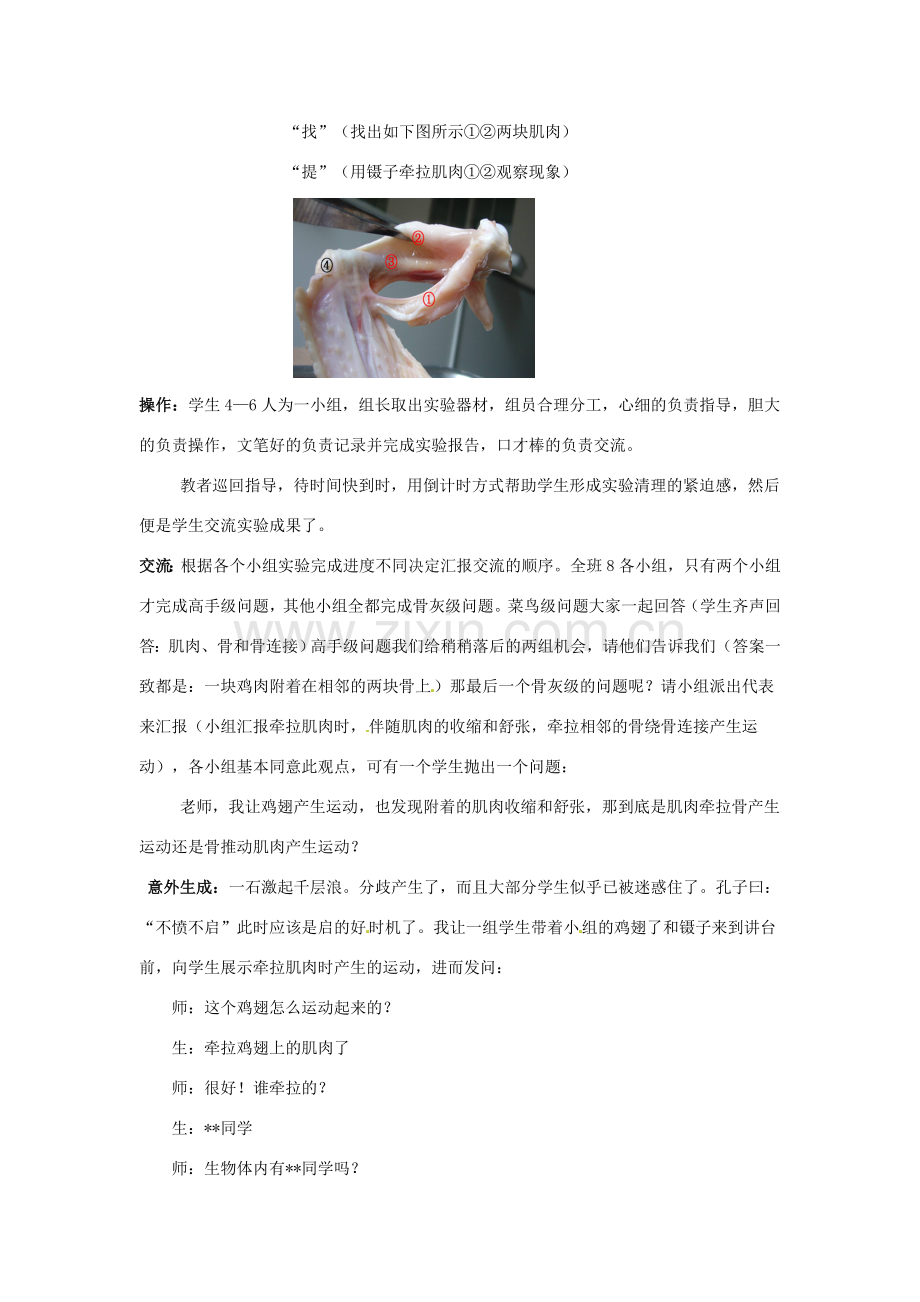 江西省信丰县黄泥中学中考生物实验汇总复习 鸡翅的结构与运动的关系教学设计.doc_第3页