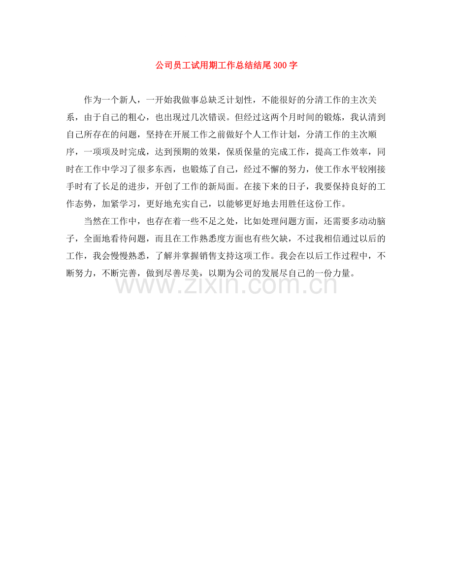 公司员工试用期工作总结结尾300字.docx_第1页