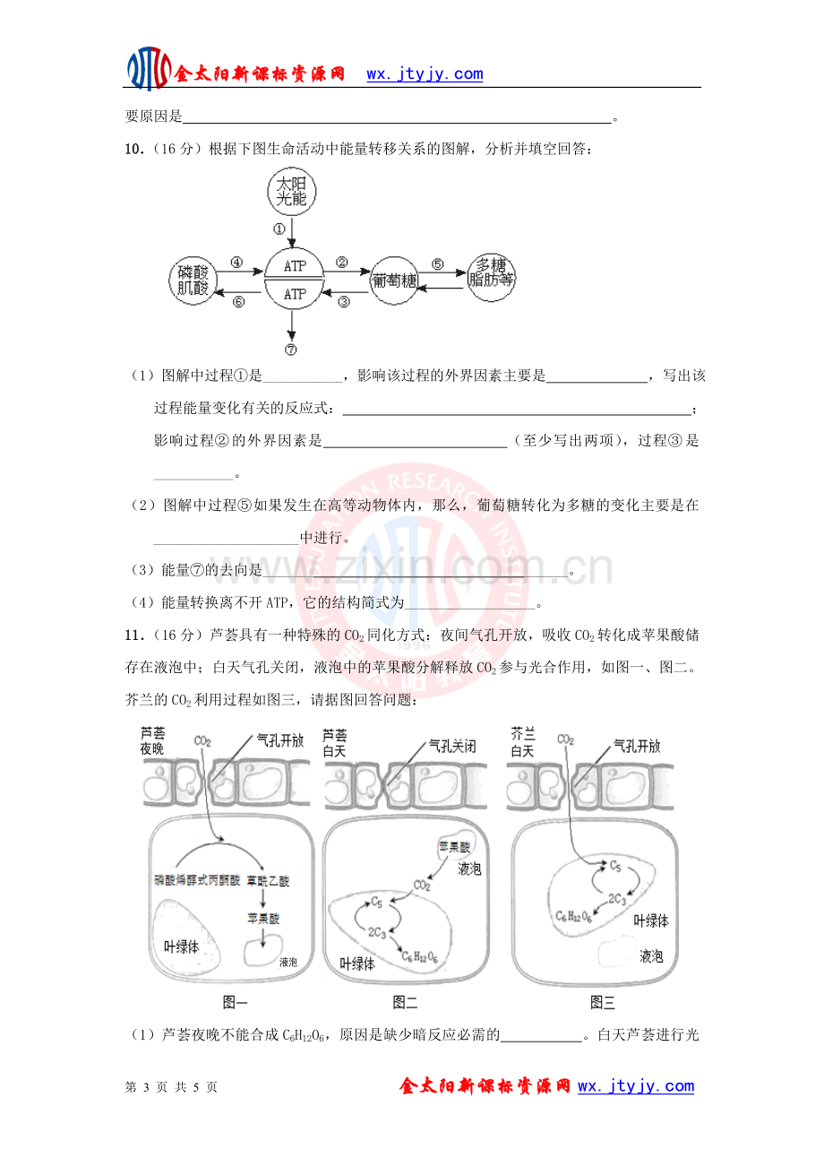 广东省潮阳一中明光学校2012届高三入学考试(生物).doc_第3页