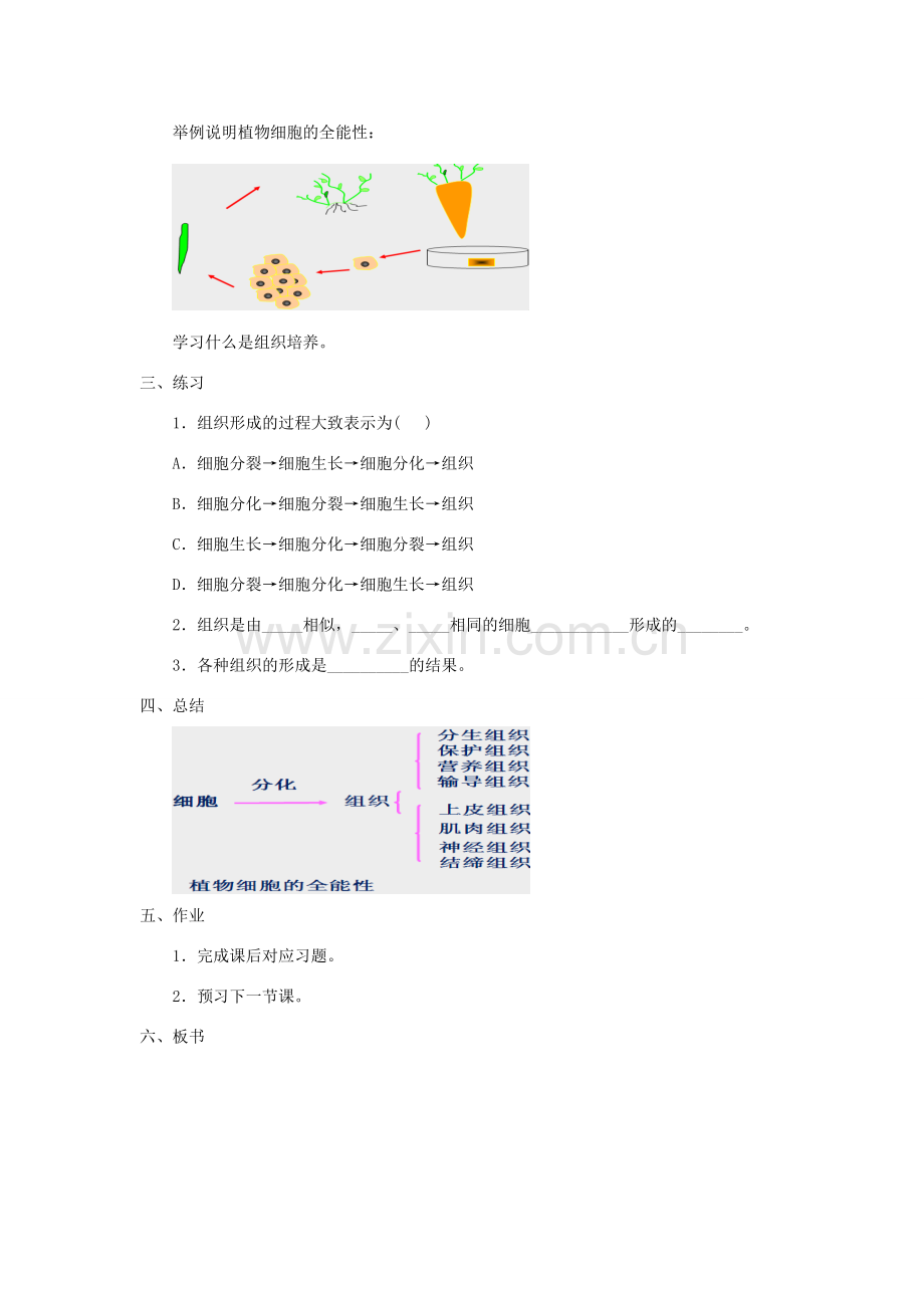 七年级生物上册 2.4.1《细胞分化形成组织》教案1 （新版）北师大版-（新版）北师大版初中七年级上册生物教案.doc_第3页