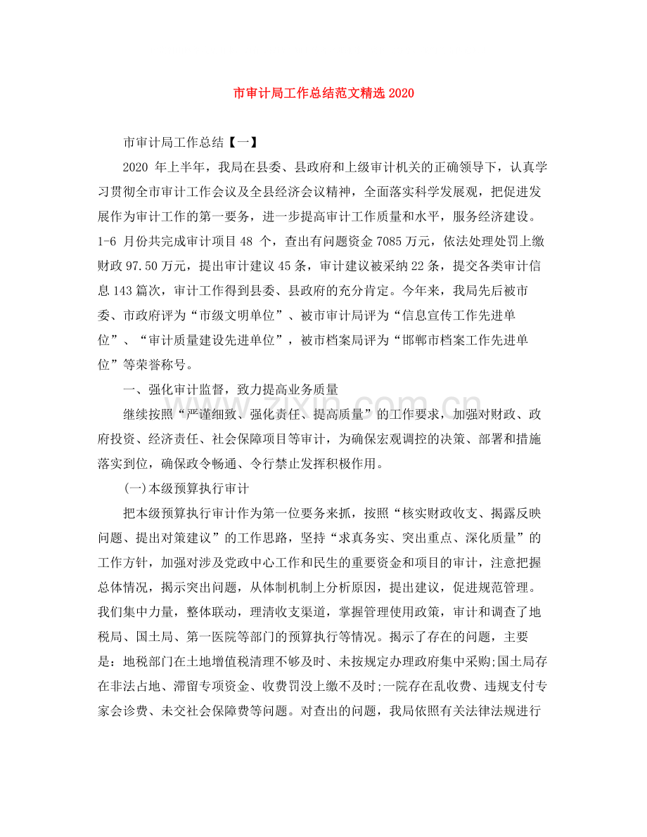 市审计局工作总结范文.docx_第1页