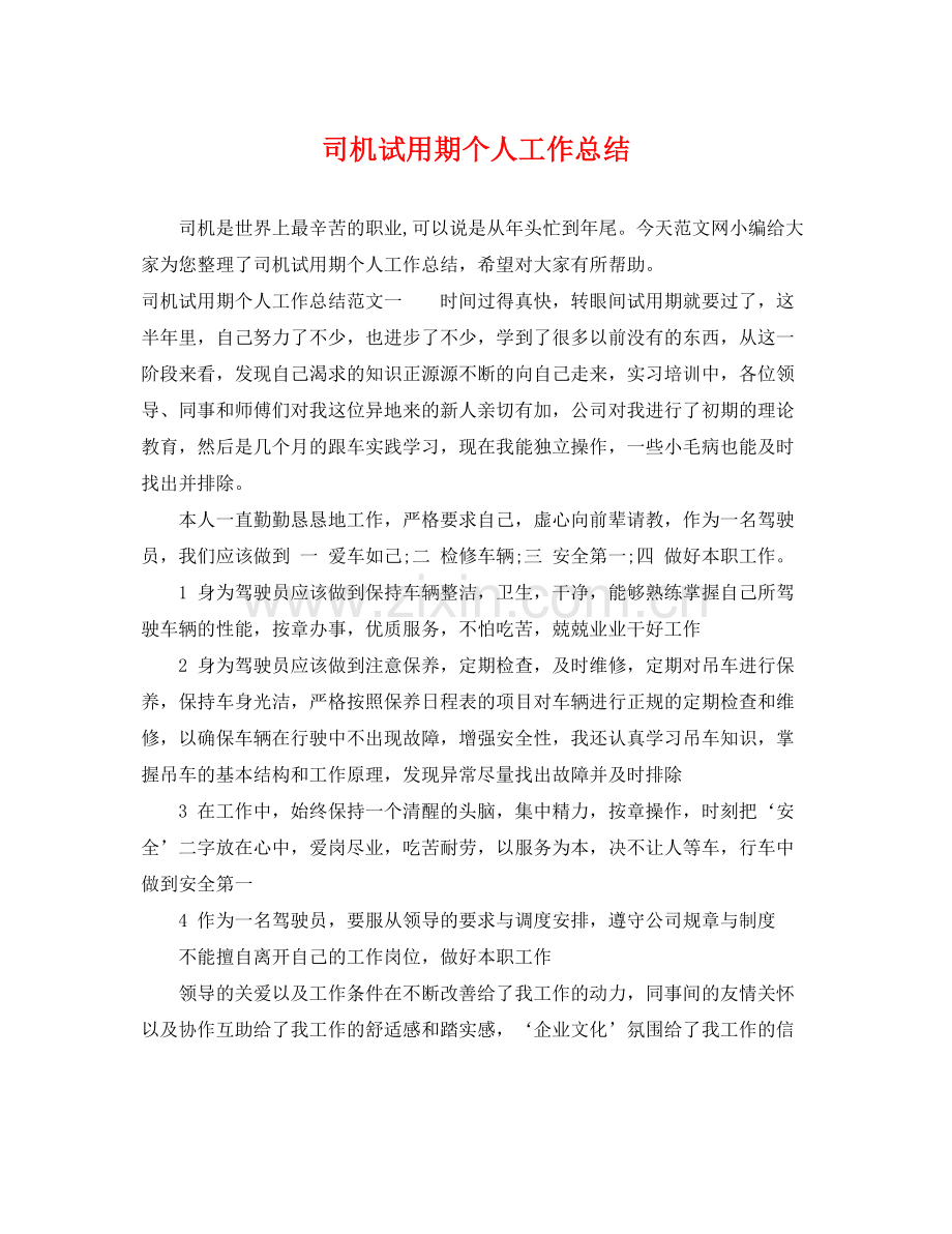 司机试用期个人工作总结 .docx_第1页