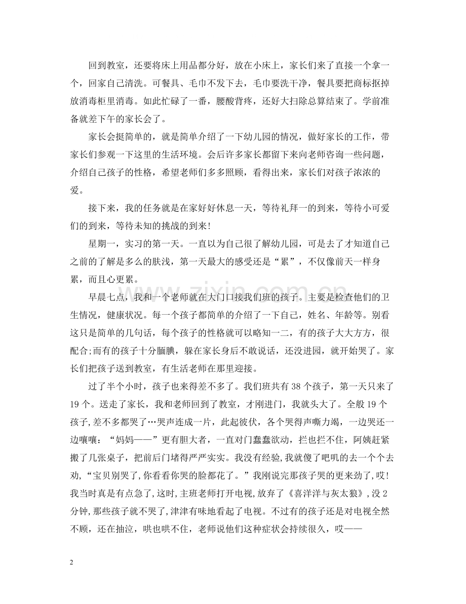 实习幼师个人总结范文.docx_第2页