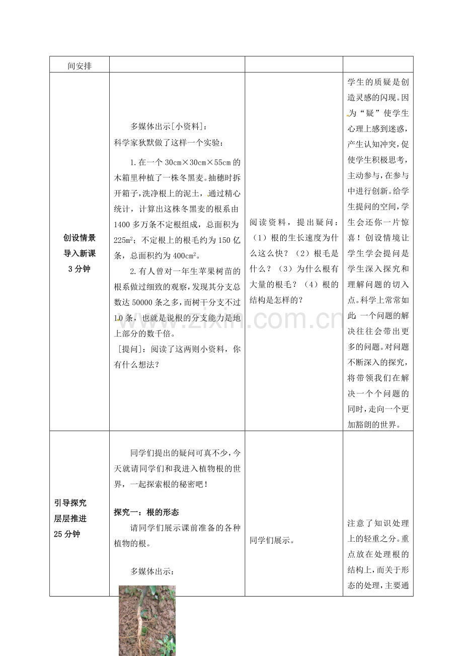 七年级生物上册 3.2.1 种子的萌发教案 （新版）新人教版.doc_第2页