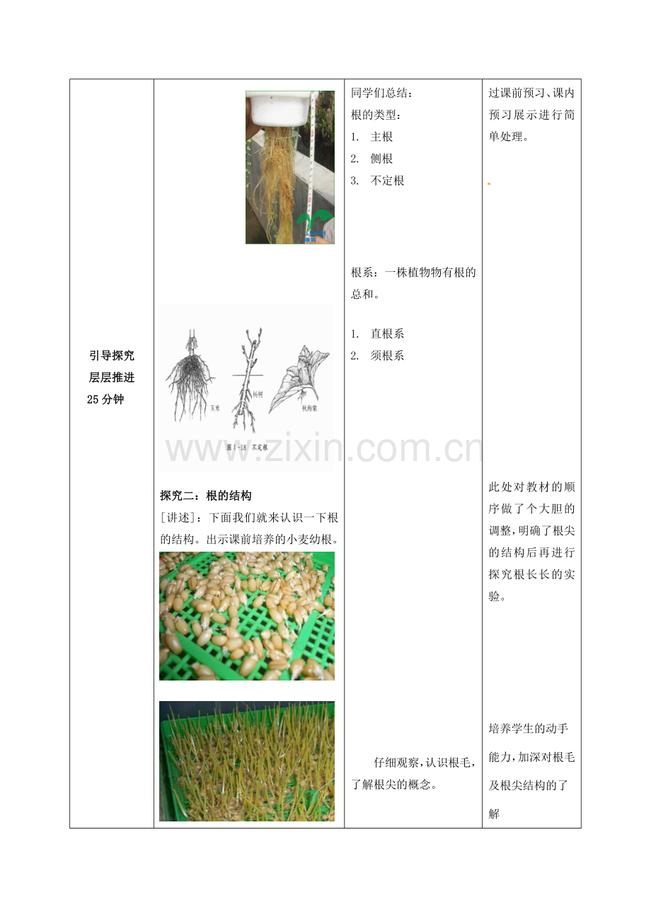 七年级生物上册 3.2.1 种子的萌发教案 （新版）新人教版.doc_第3页