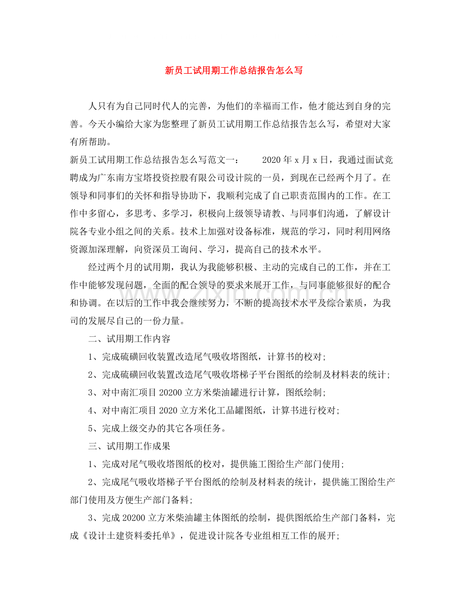 新员工试用期工作总结报告怎么写.docx_第1页