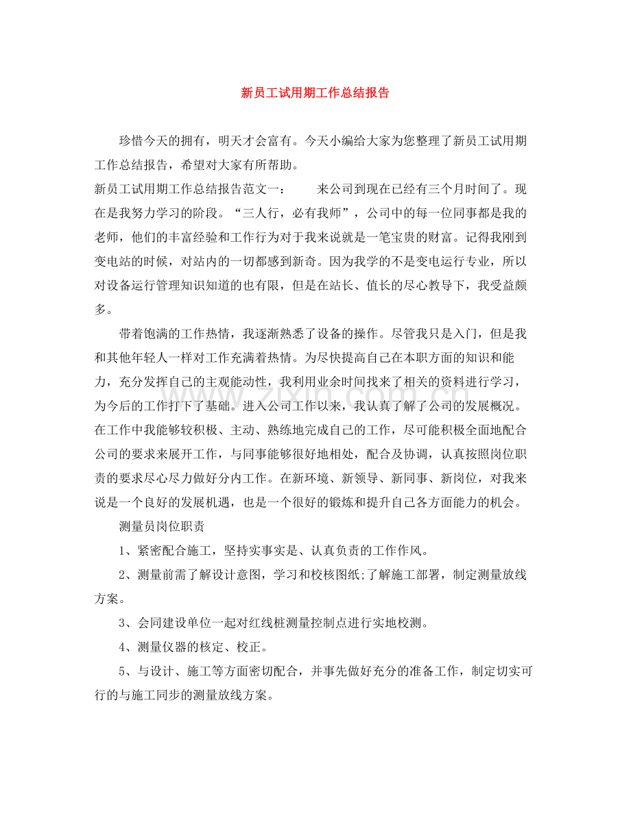 新员工试用期工作总结报告.docx_第1页