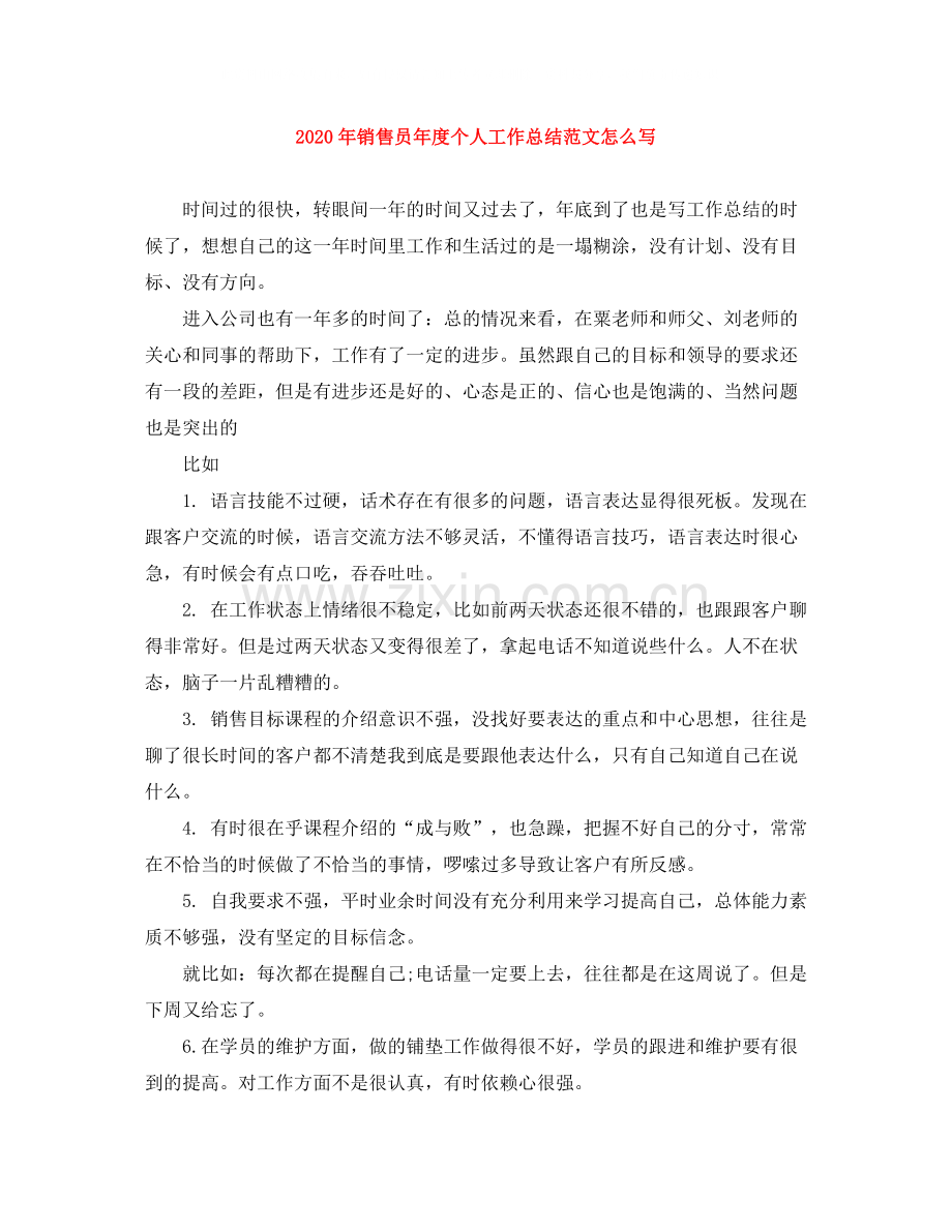 2020年销售员年度个人工作总结范文怎么写.docx_第1页