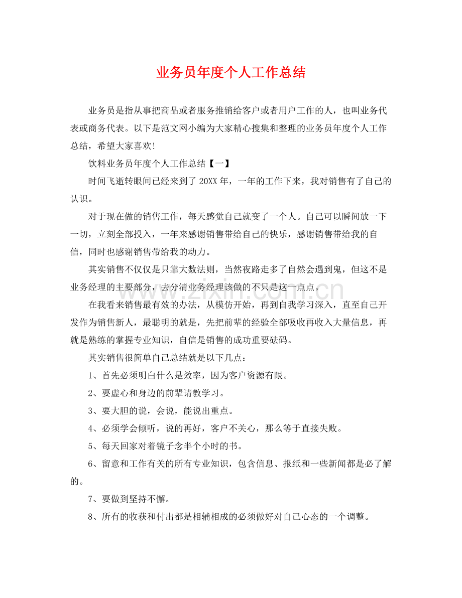 业务员年度个人工作总结 .docx_第1页