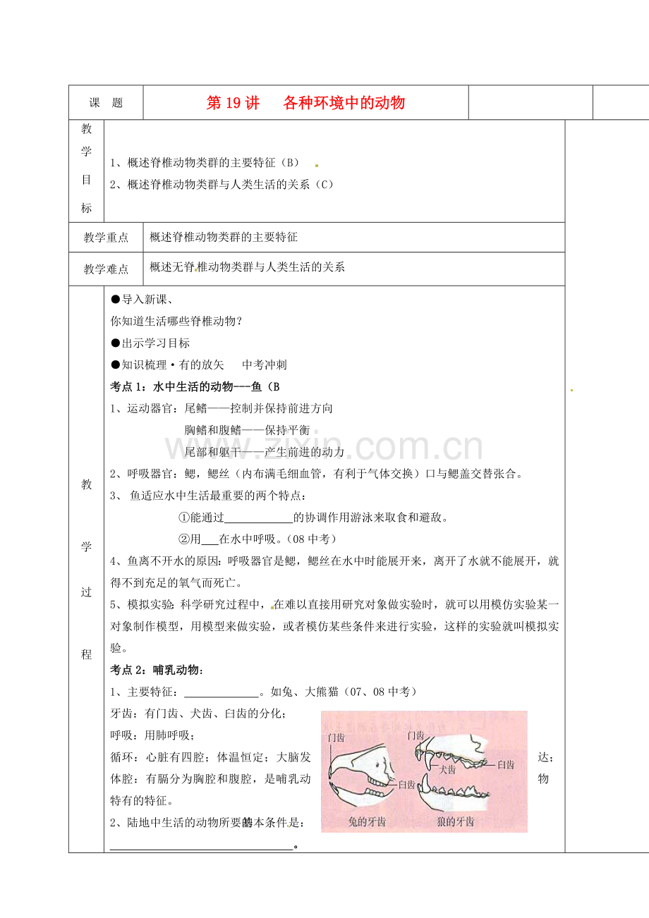 湖南省茶陵县世纪星实验学校八年级生物复习《第19讲 各种环境中的动物》教案 人教新课标版.doc_第1页