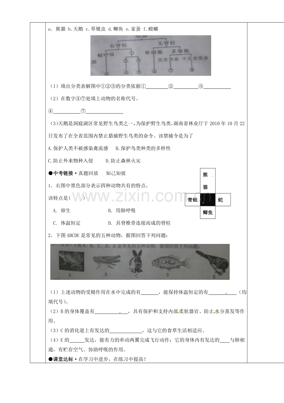 湖南省茶陵县世纪星实验学校八年级生物复习《第19讲 各种环境中的动物》教案 人教新课标版.doc_第3页