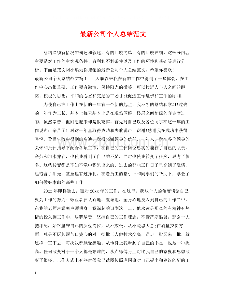 公司个人总结范文2.docx_第1页