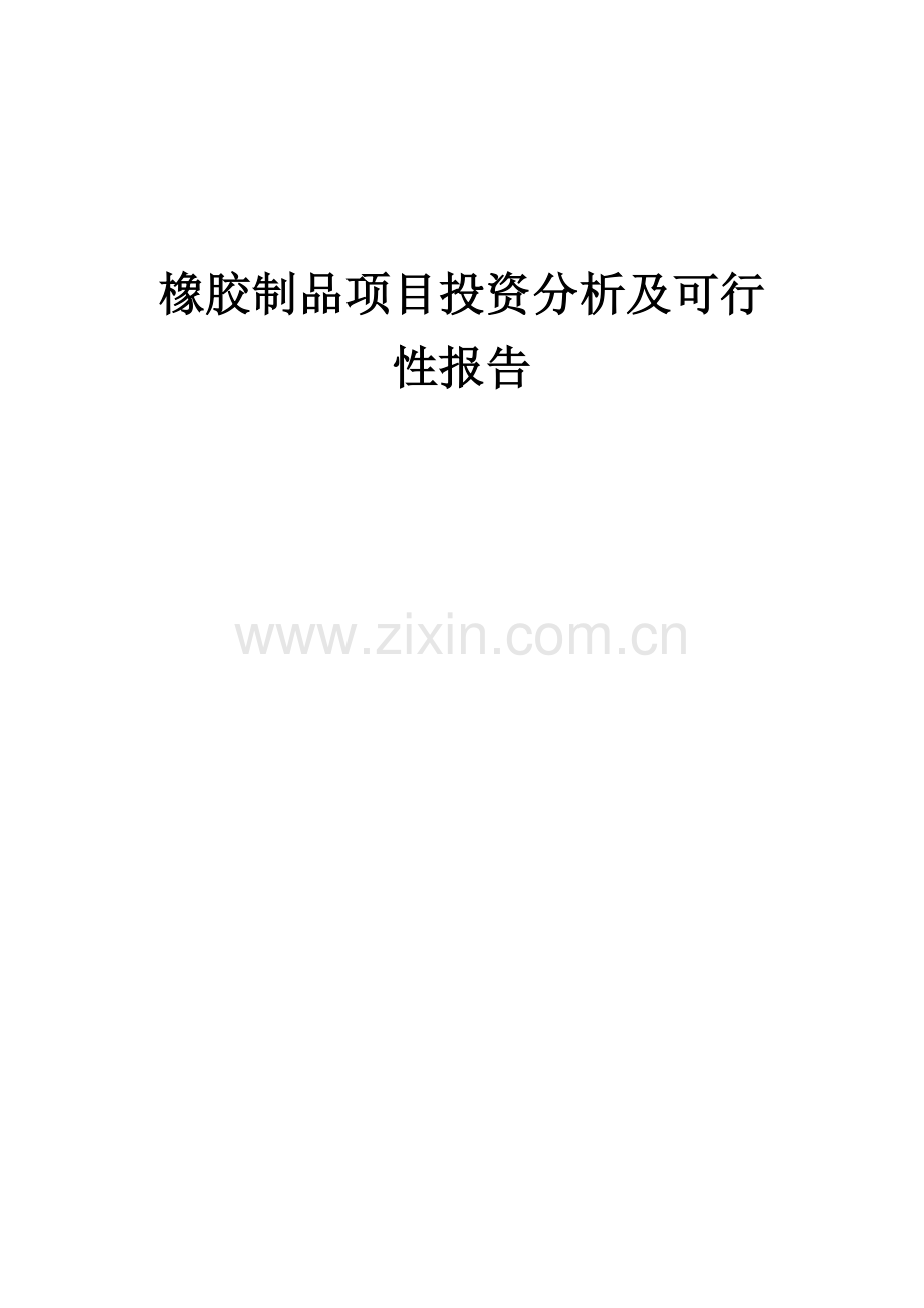 橡胶制品项目投资分析及可行性报告.docx_第1页