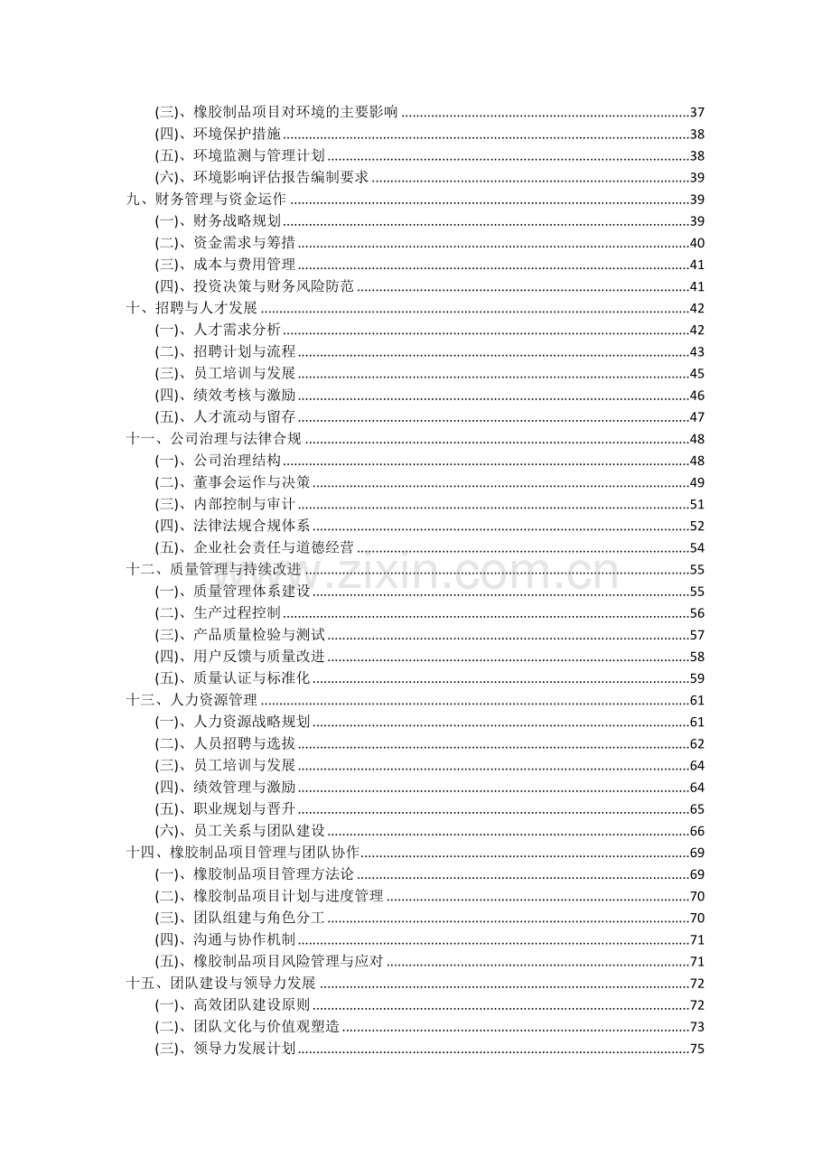 橡胶制品项目投资分析及可行性报告.docx_第3页