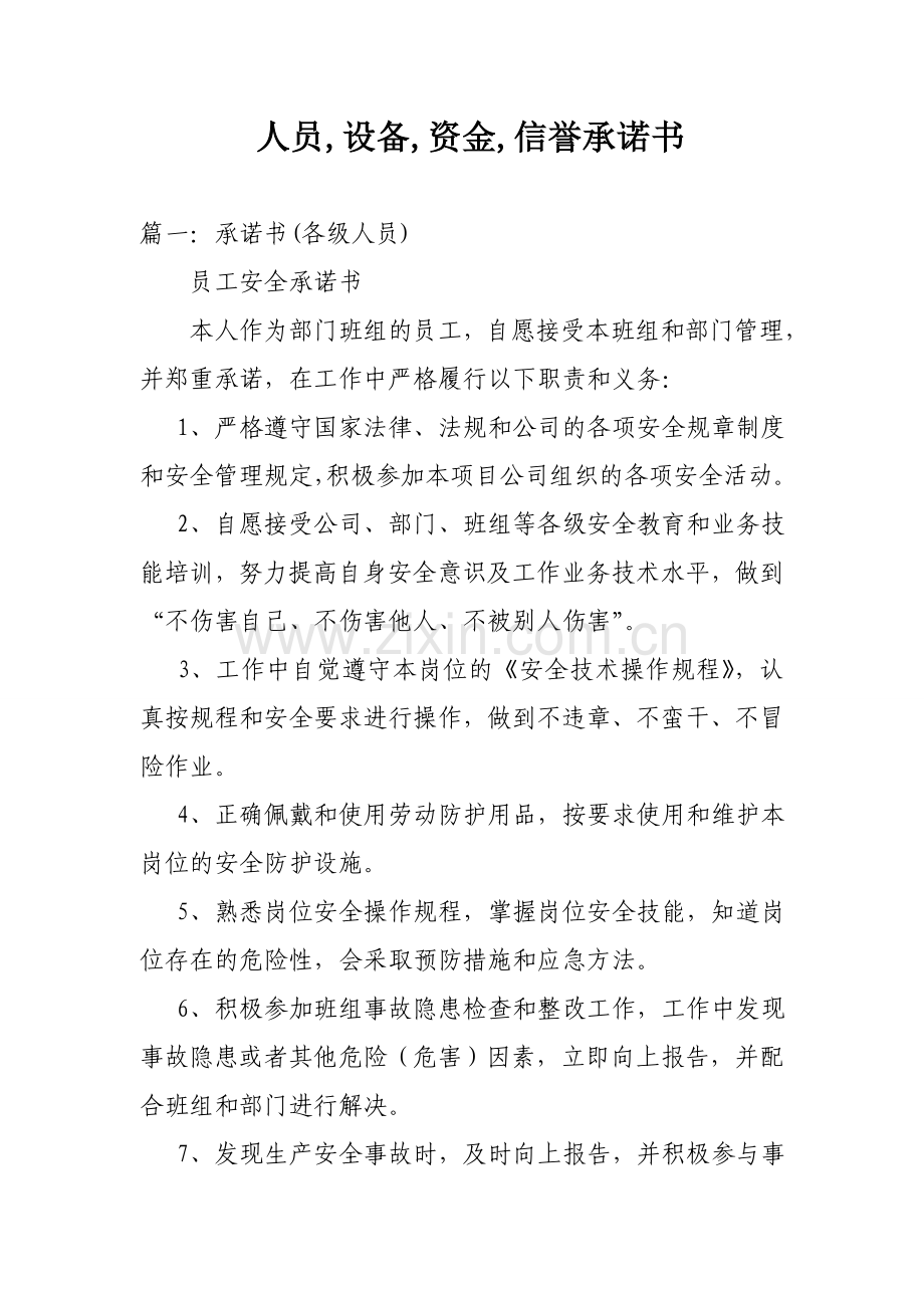 人员设备资金信誉承诺书.doc_第1页