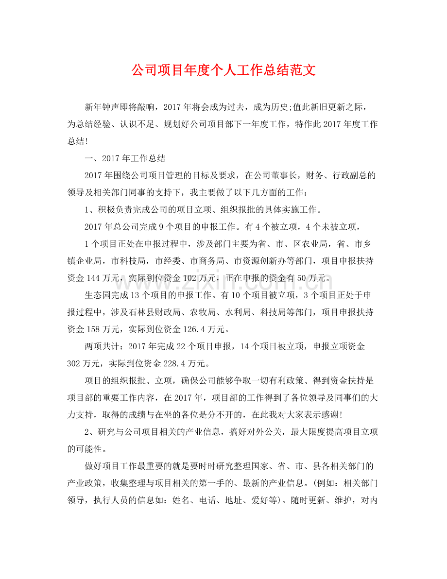 公司项目年度个人工作总结范文 .docx_第1页