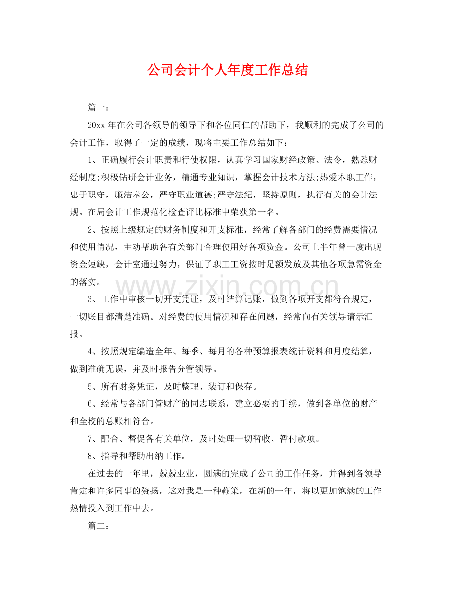 公司会计个人年度工作总结 .docx_第1页