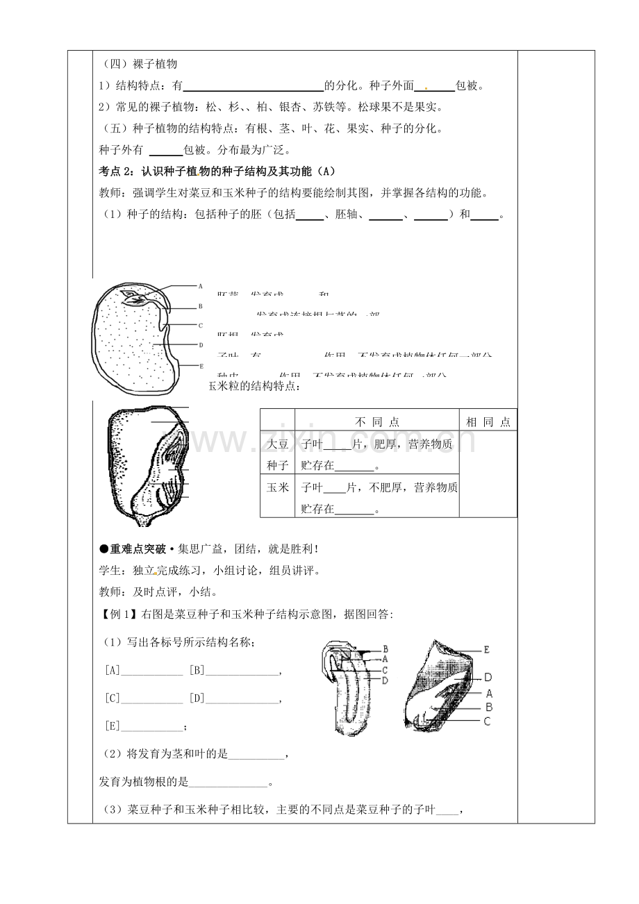 湖南省茶陵县世纪星实验学校八年级生物复习《第5讲植物的分类》教案 人教新课标版.doc_第2页