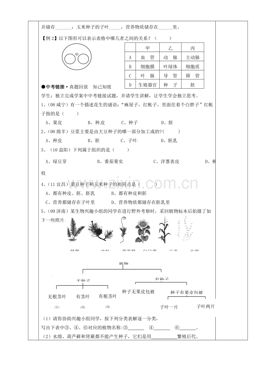 湖南省茶陵县世纪星实验学校八年级生物复习《第5讲植物的分类》教案 人教新课标版.doc_第3页