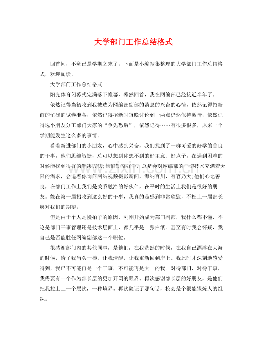 大学部门工作总结格式 .docx_第1页